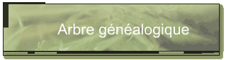 Arbre gnalogique