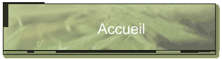 Accueil