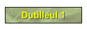 Dutilleul 1